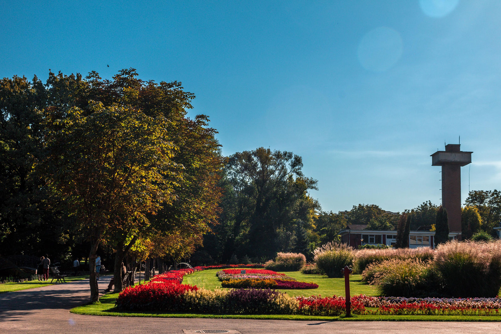 Province floristiche rumene nel settore centrale del Giardino Botanico di Craiova — ninfee, piante acquatiche e uccelli acquatici