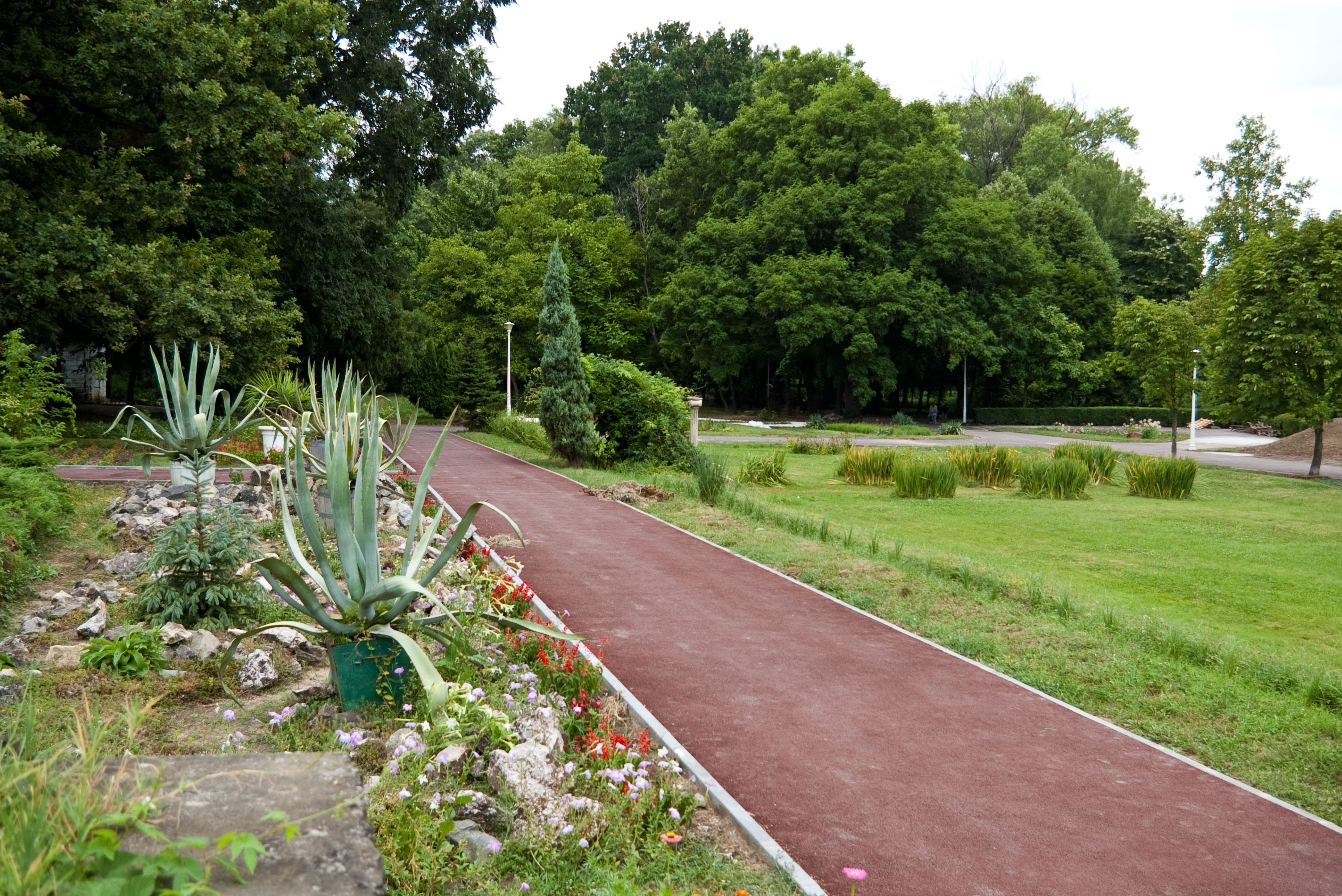 Province floristiche globali nel Giardino Botanico di Craiova