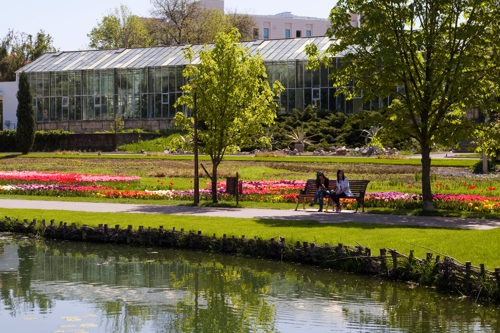 Serra del Giardino Botanico di Craiova — giungla amazzonica con banani, palme, piante carnivore e specie tropicali esotiche