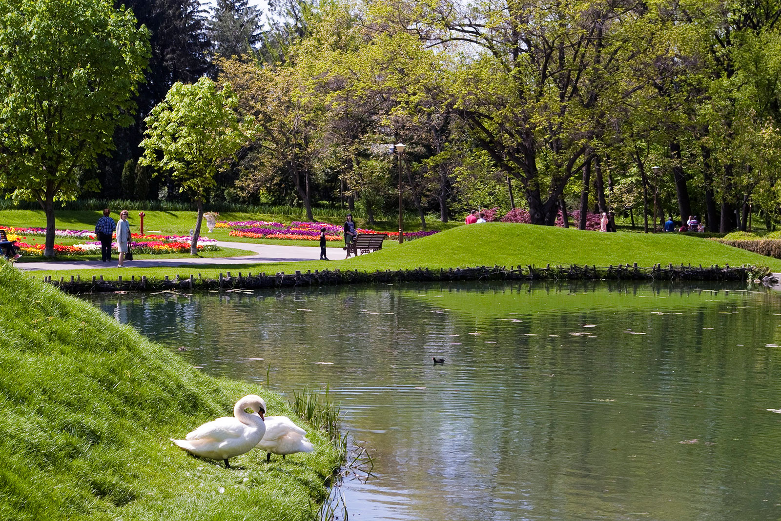 Ornamentaler Sektor des Botanischen Gartens Alexandru Buia Craiova mit seltenen Dahlien und Rosen