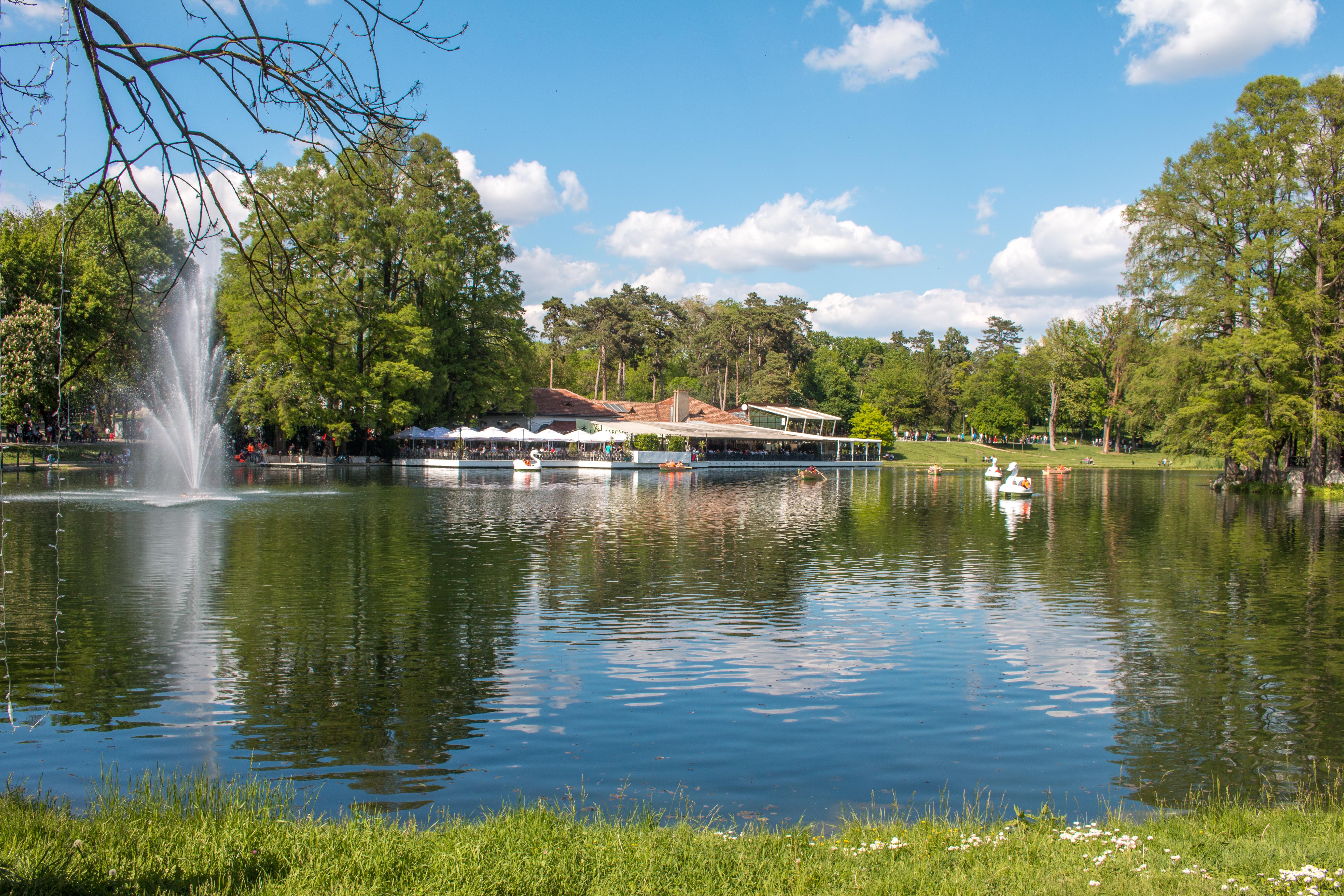 Lacul din Parcul Romanescu