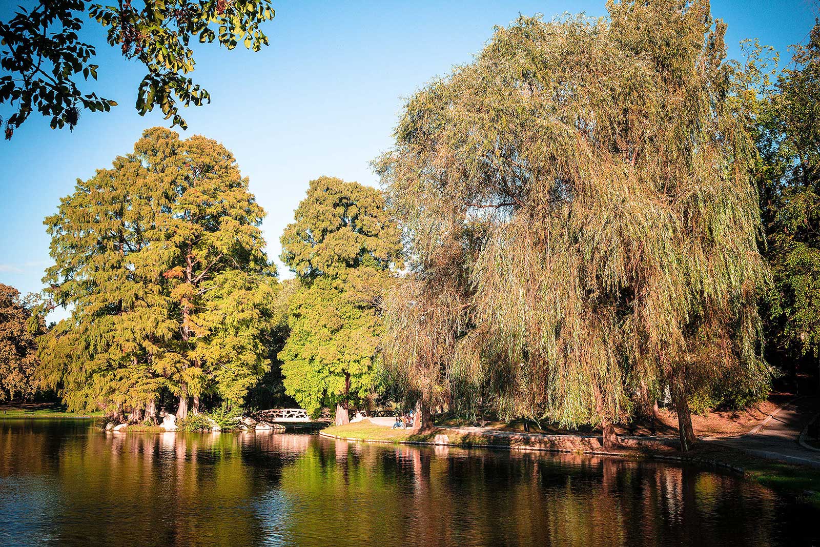 Jezero u Parku Romanesku